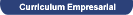 Curriculum Empresarial